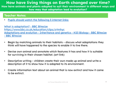 How have animals and plants adapted to suit their environment in different ways and how may that adaptation lead to evolution? -  teacher's notes