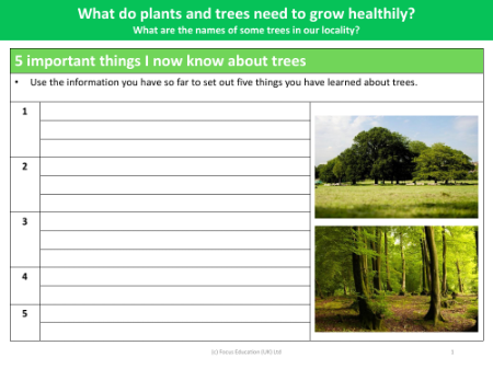 5 Things I know now about trees - Worksheet - Year 2