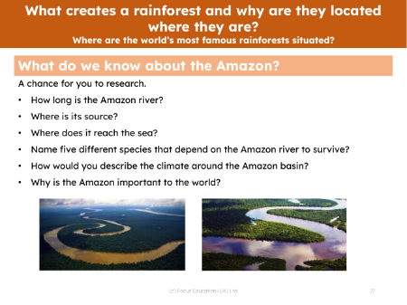 What do we know about the Amazon - Prompts