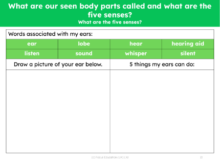 What are the five senses? - What can my ears do? - Worksheet