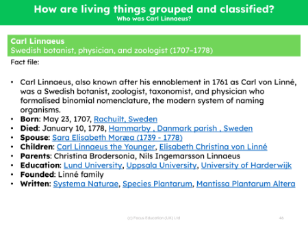 Carl Linnaeus - Info sheet