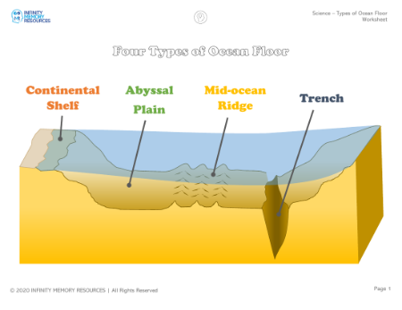 Types of Ocean Floor - Worksheet