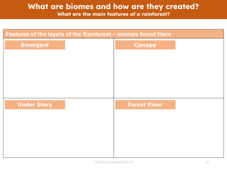 Animals found in layers of the rainforest - Worksheet