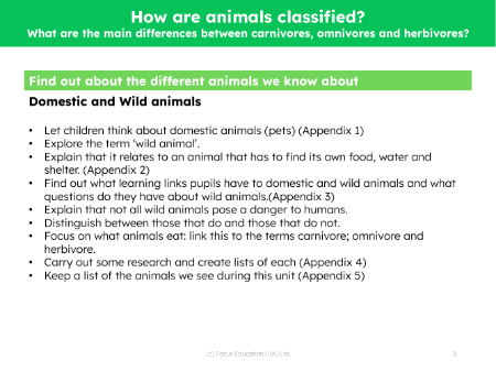 What are the main differences between carnivore, omnivore and herbivore? - Teacher notes