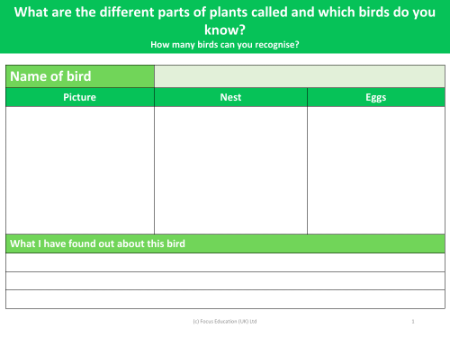 Bird - Fact File 2 - Year 1