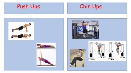 Exercise - Strength Exercises