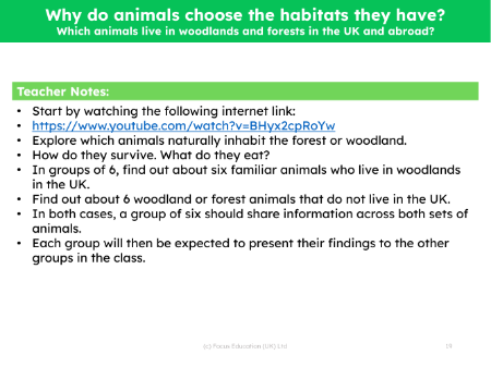 Which animals live in woodlands and forests in the UK and abroad? - Teacher notes