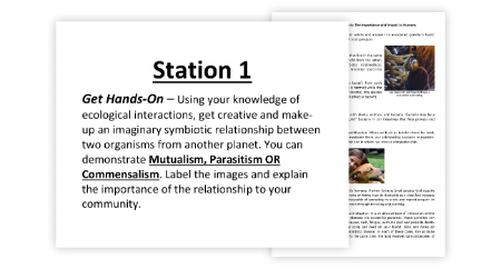 Interactions Within Ecosystems - 7 Engaging Lab Stations