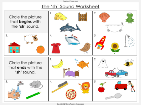 The 'sh' Sound - Phonics PowerPoint Lesson with Worksheets - Worksheet