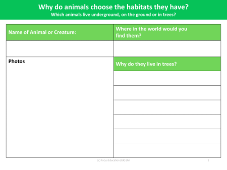 Choose your own animal - Fact file