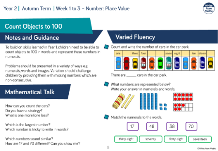 Count objects to 100: Varied Fluency