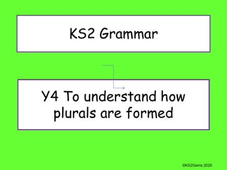 Plurals Presentation