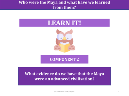 What evidence do we have that the Mayans were and advanced civilisation? - Presentation