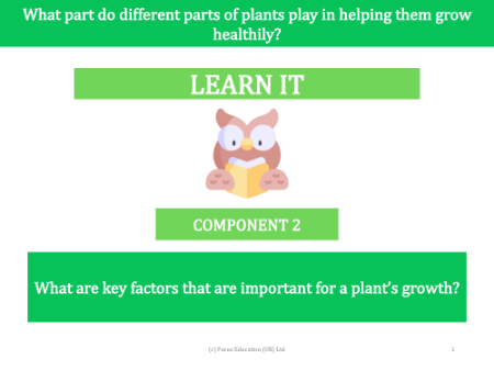 What are the key factors that are important to a plant's growth? - presentation