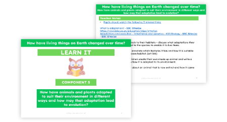 How have animals and plants adapted to suit their environment in different ways and how may that adaptation lead to evolution?