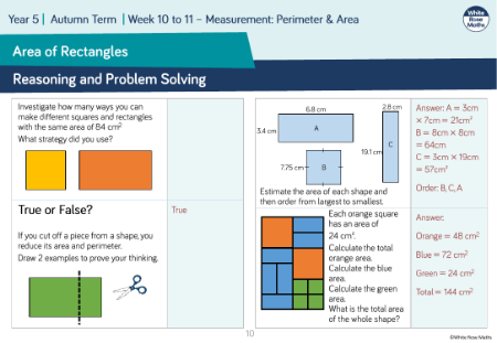 Area of rectangles: Reasoning and Problem Solving
