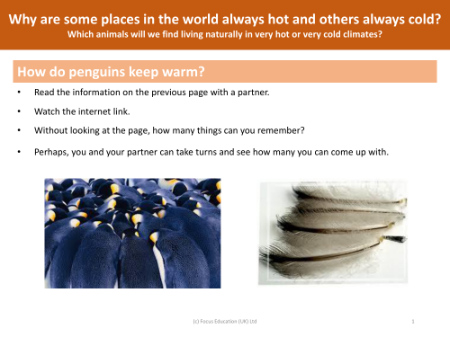 How do penguins keep warm - Investigation instructions