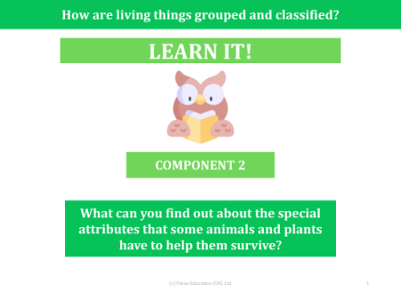 What can you find out about the special attributes that some animals and plants have to help them survive? - Presentation