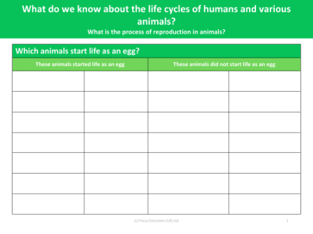 Which animals start life as an egg? - Worksheet - Year 5