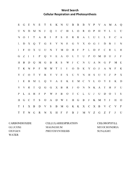 Cellular Respiration Photosynthesis - Word Search