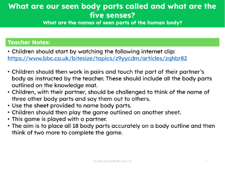 What are the names of the seen parts of the human body? - Teacher's notes