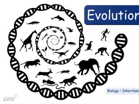 Evolution - Presentation