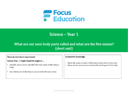 What are our seen body parts called and what are the five senses? - Introductory Presentation