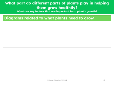 What do plants need to survive? - diagram activity - worksheet