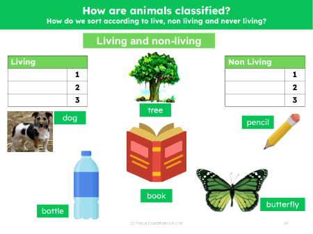 Living and non-living - Worksheet