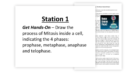 Mitosis and the Cell Cycle - 7 Engaging Lab Stations