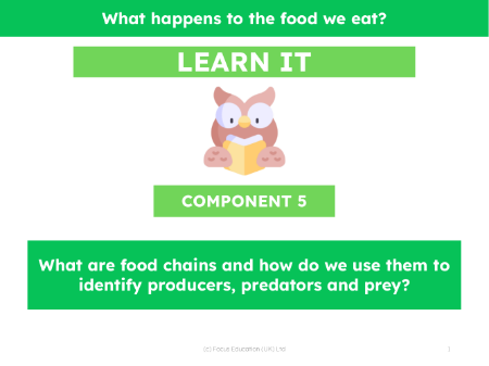 What are food chains and how we do use them to identify producers, predators and prey?  - Presentation