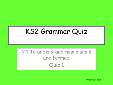 Plurals 1 Quiz