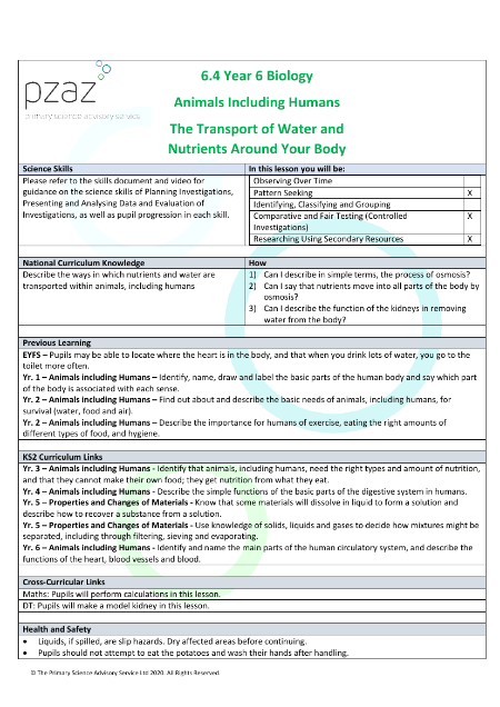 The Transport of Water and Nutrients - Lesson Plan
