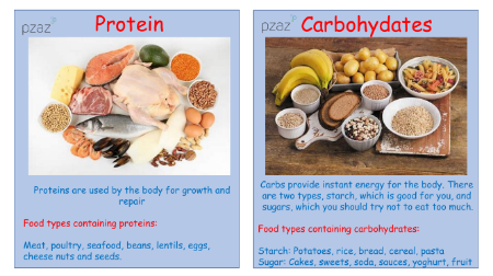 Nutrition - Nutrient Cards