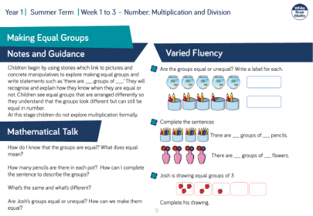 Making Equal Groups: Varied Fluency