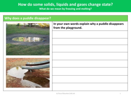 Why does a puddle disappear? - Worksheet - Year 4