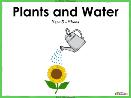 Plants and Water - PowerPoint