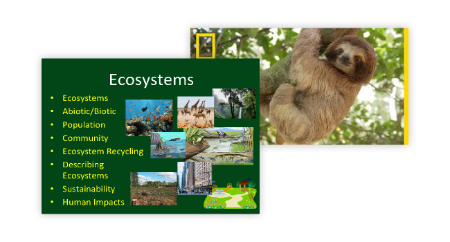 Ecosystems