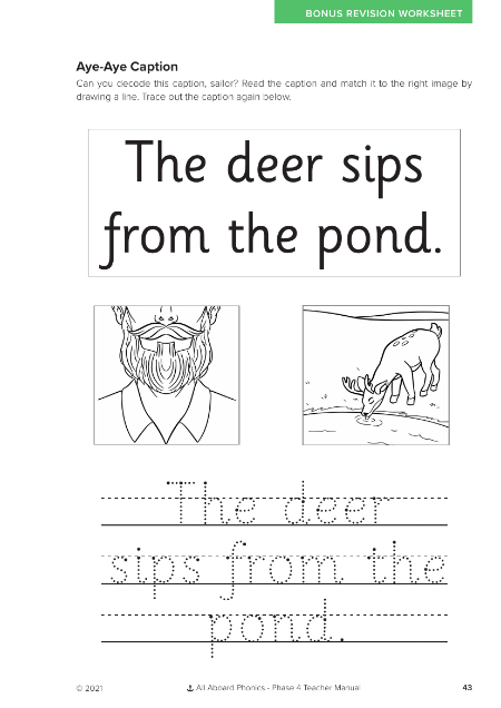 Aye-Aye Caption activity - Worksheet 