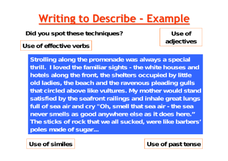 Writing to Describe Example 2 Worksheet