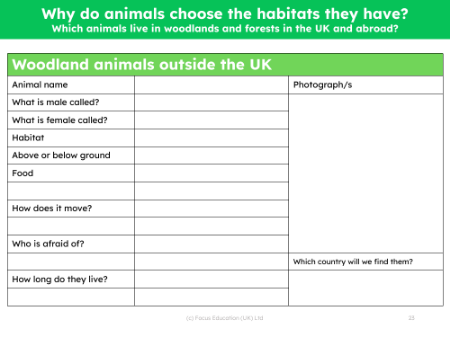 Global woodland animals fact file - Worksheet
