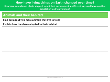 Research the adaptations of two arboreal animals - worksheet