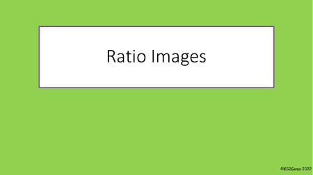 Ratio Images