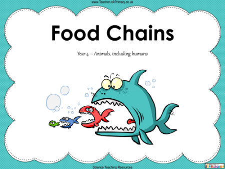 Food Chains - PowerPoint
