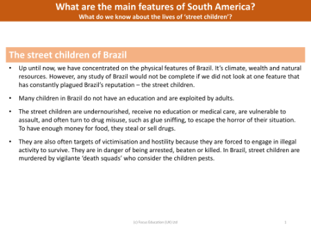 Street children of Brazil - Info sheet
