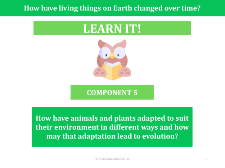 How have animals and plants adapted to suit their environment in different ways and how may that adaptation lead to evolution? -  presentation
