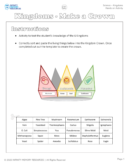 Kingdoms - Hands on Activity