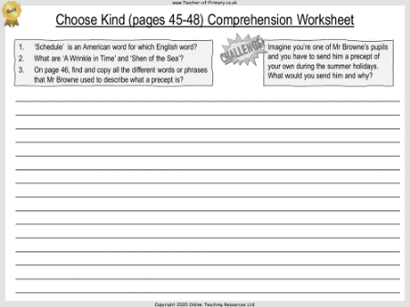 Wonder Lesson 14: Choose Kind - Comprehension Worksheet 3