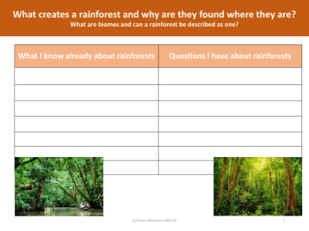 What I know about rainforests - Worksheet