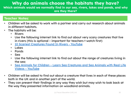 Which animals would we normally find in our sea, rivers, lakes and ponds and why are they there? - Teacher notes